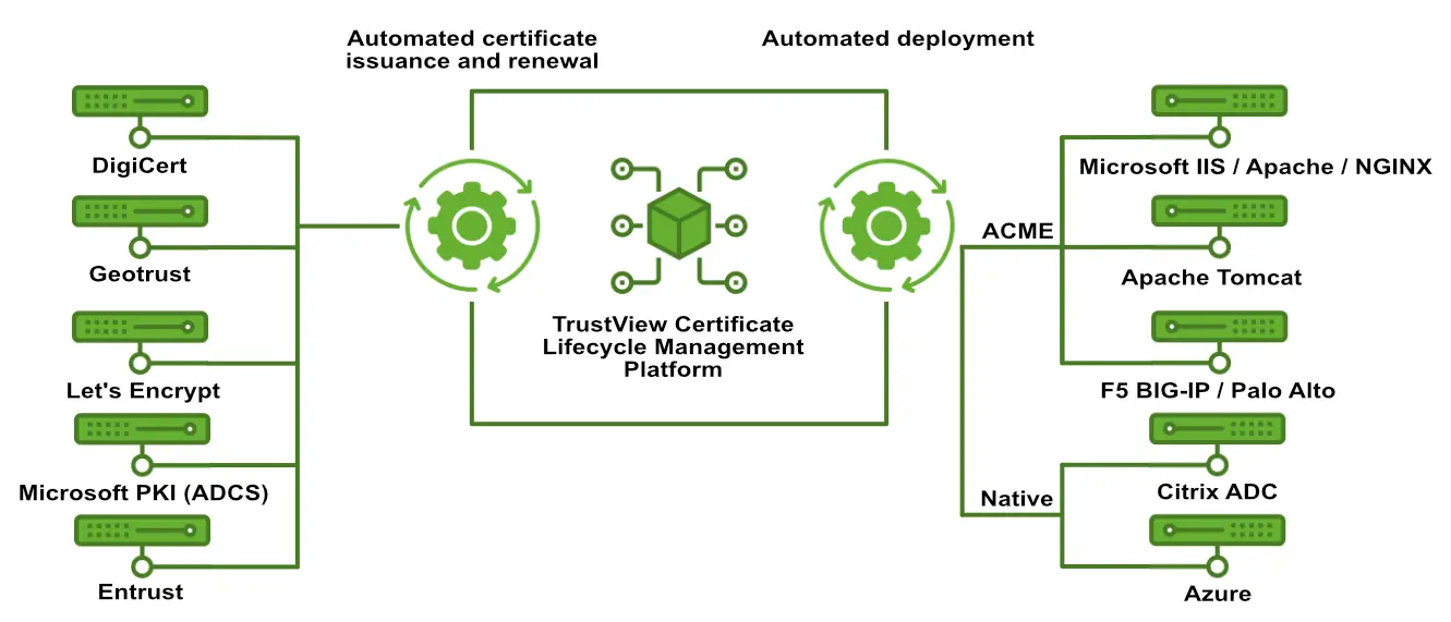 automation